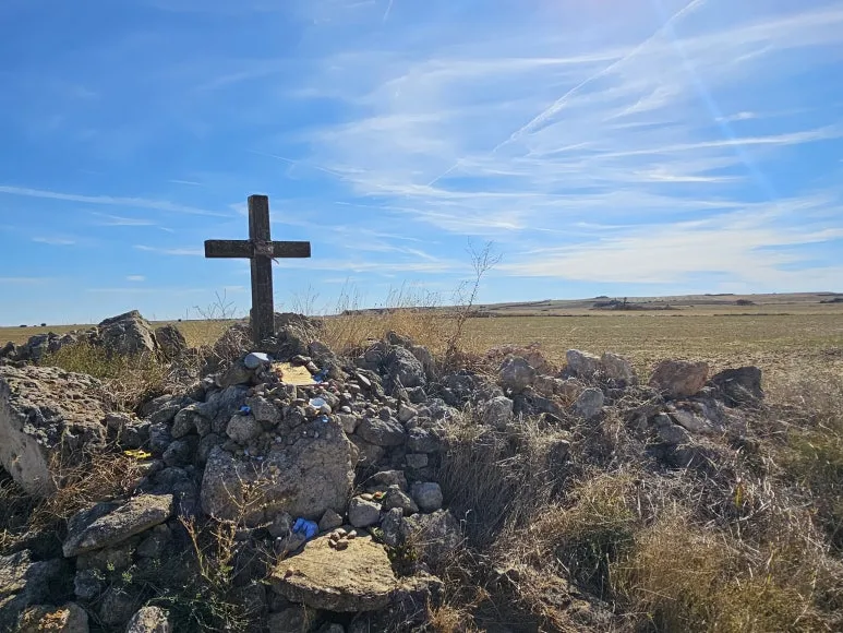 20251001_162047.jpg?type=w773