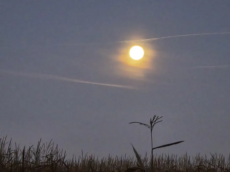 1759858930726.jpg?type=w1