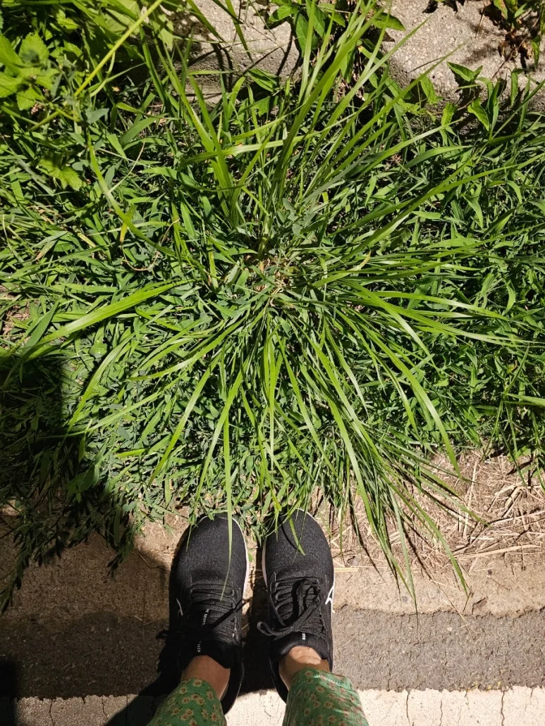 20240625%EF%BC%BF222451.jpg?type=w773