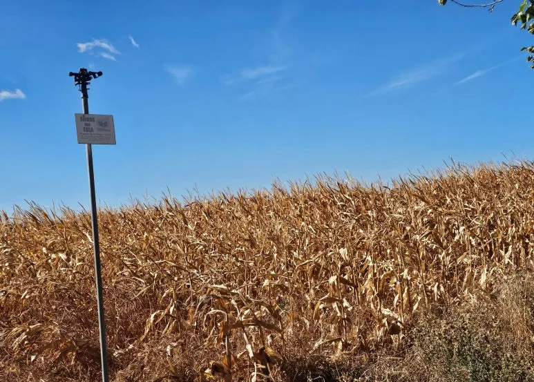 SE-654b5fd8-a54b-4526-a046-31061412ca7b.jpg?type=w773