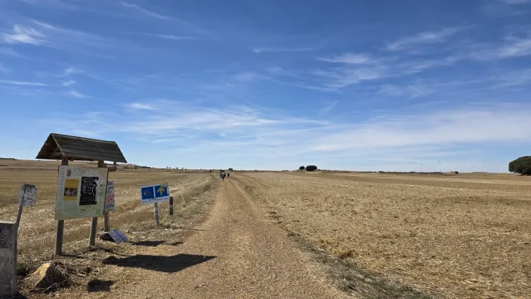 1759416389072.jpg?type=w773