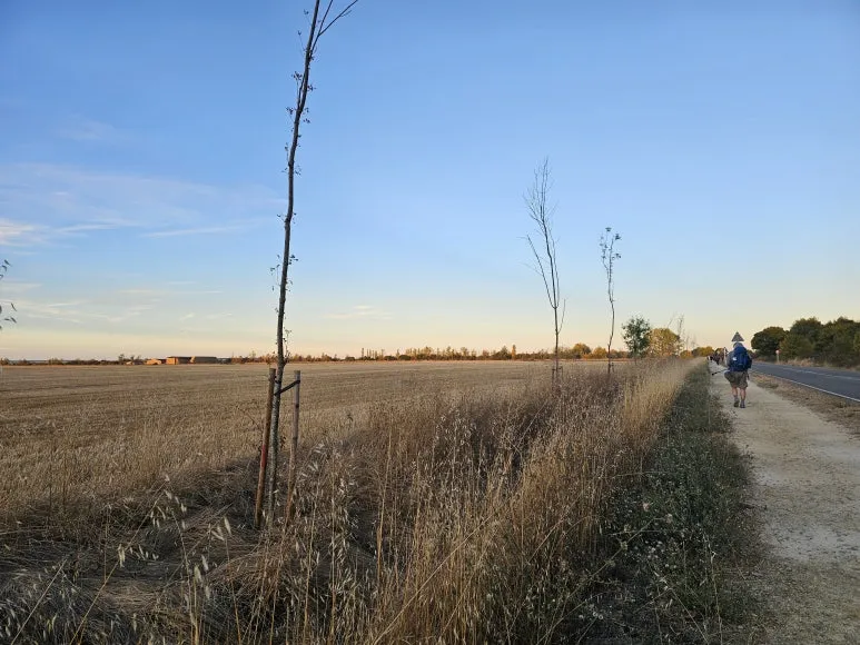 20251004_083144.jpg?type=w773