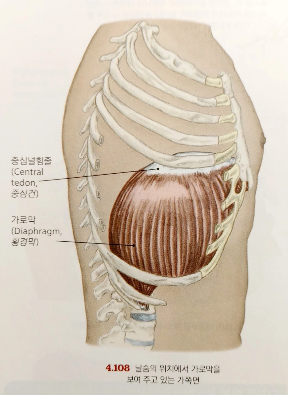 KakaoTalk_20230618_074625893_03.jpg?type=w1