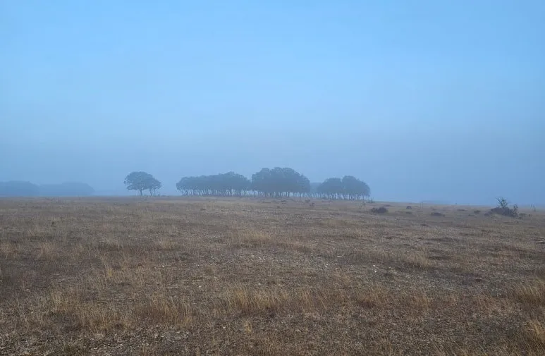 SE-dbc040cd-c793-4b8a-8e4e-9e4a0b838a21.jpg?type=w773