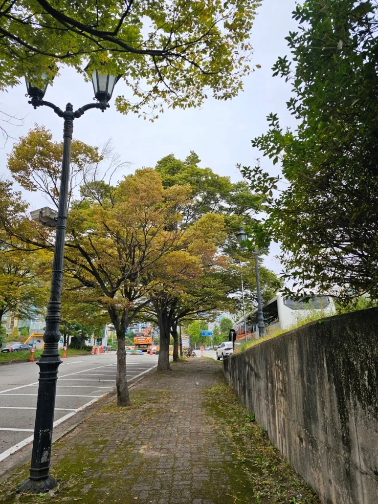 20241006%EF%BC%BF085949.jpg?type=w773