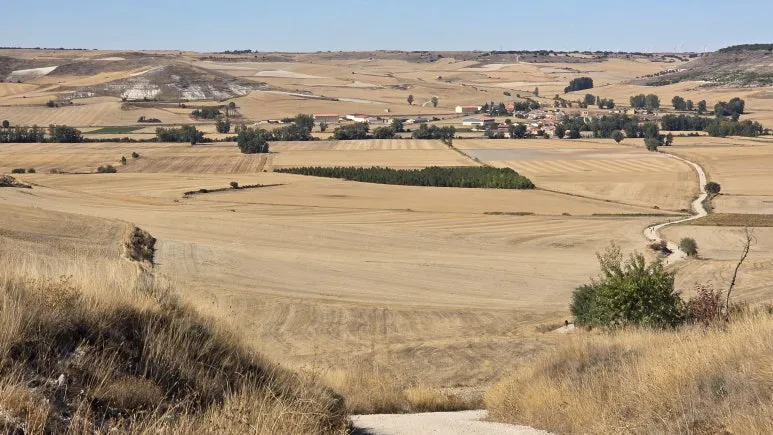 1759416346342.jpg?type=w773