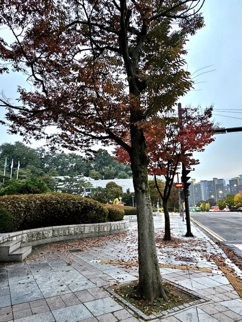 20241027%EF%BC%BF174010.jpg?type=w773