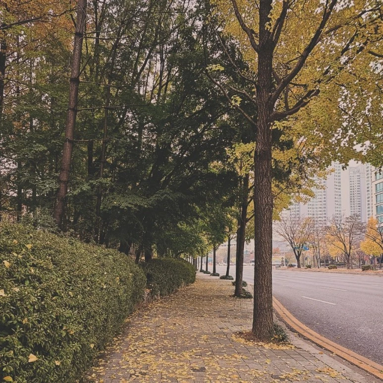 IMG%EF%BC%BF20231116%EF%BC%BF082356%EF%BC%BF069.jpg?type=w773