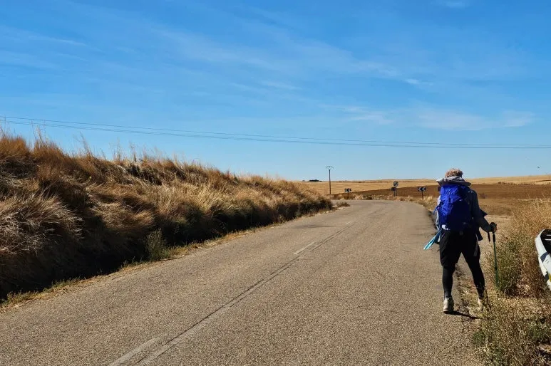 SE-0e4757b5-fcb5-459c-8680-af113aa86ddf.jpg?type=w773