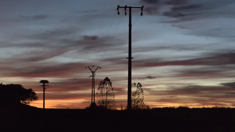 1759463756696.jpg?type=w773