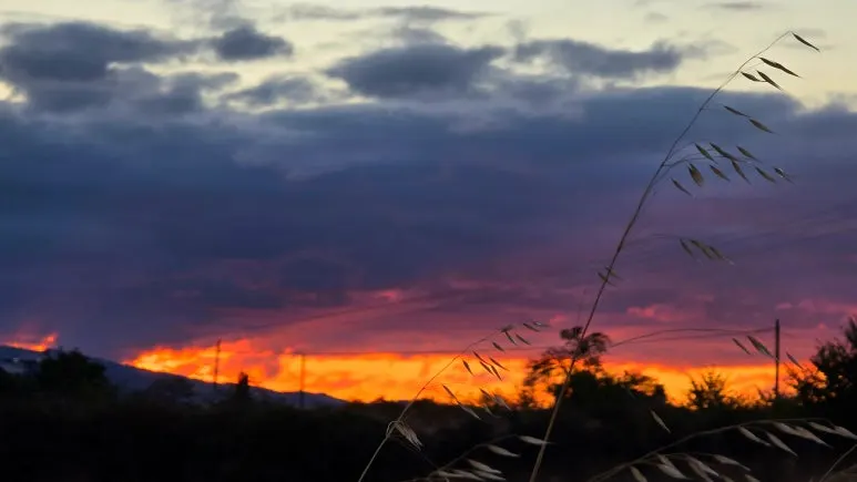 SE-e74a10ea-30e0-45e2-8437-f038b75df624.jpg?type=w773