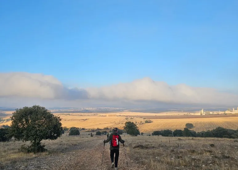 SE-e2c12f40-e031-474a-83e4-2215c7479350.jpg?type=w773