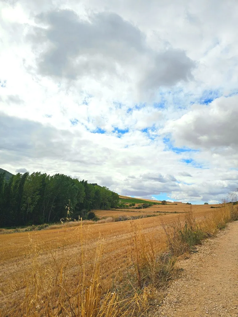 SE-26498b9c-a9a0-4991-9d1c-c8e4aa2f3c09.jpg?type=w773