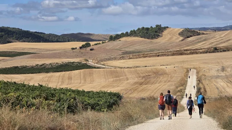 KakaoTalk_20251109_212226027_11.jpg?type=w773