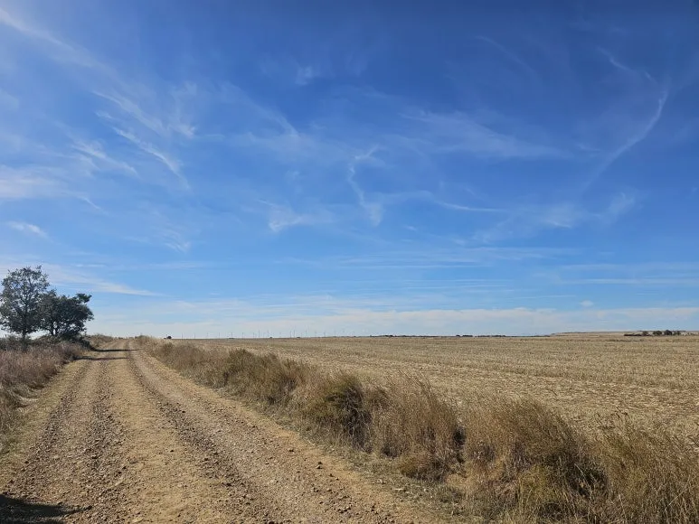 20251001_153812.jpg?type=w773