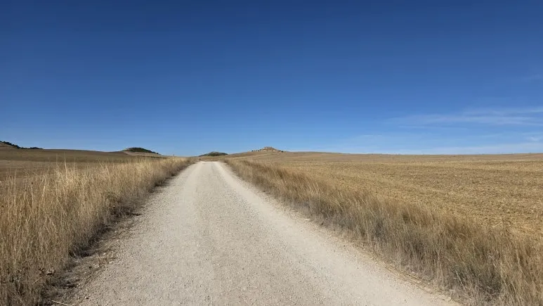 1759463615930.jpg?type=w773