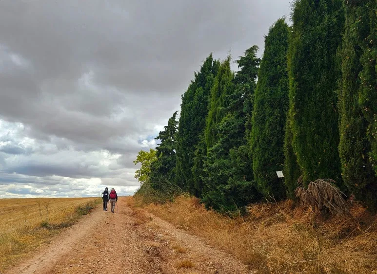 SE-9a862df5-8bd6-475d-bffe-d83e64859de9.jpg?type=w773