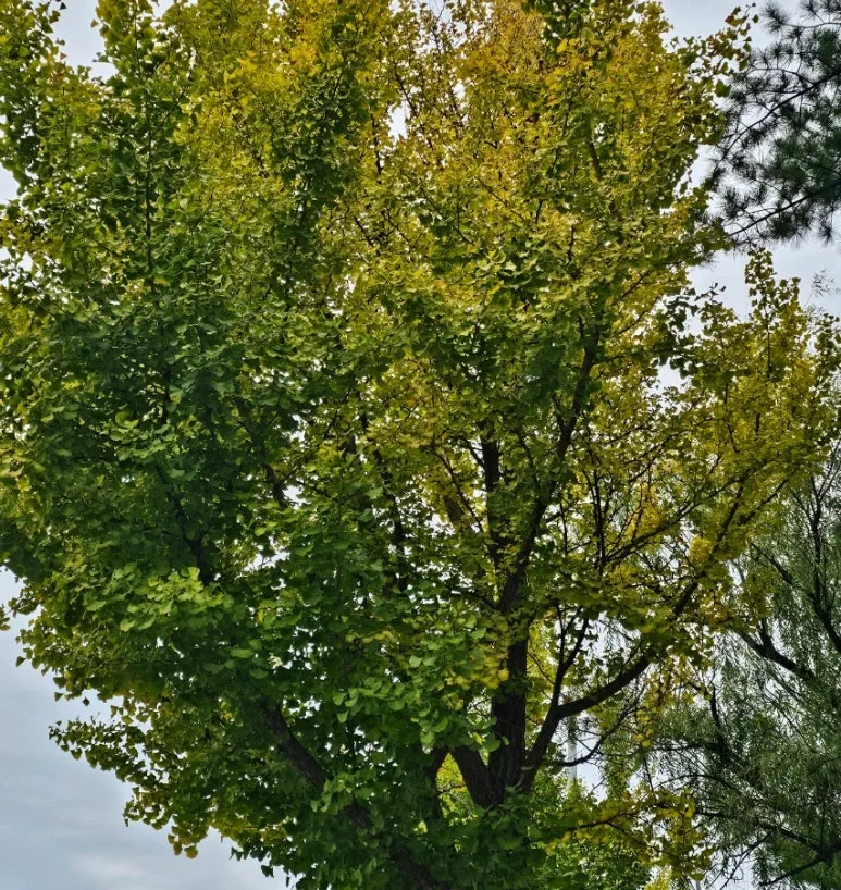 SE-93b935fe-0279-4833-8995-0a2357c20770.jpg?type=w773