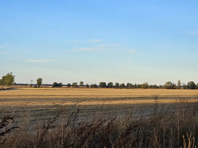 20251004_084726.jpg?type=w773