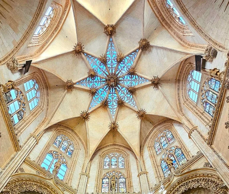 SE-aa18f820-cd89-423c-9548-86387f94e509.jpg?type=w773