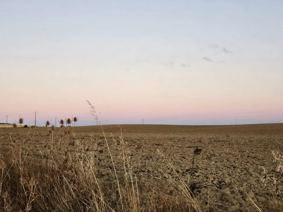 20251005_081629.jpg?type=w1