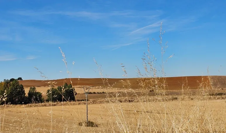 SE-4d667ee8-1ef0-487d-b6a2-7d6a23df1442.jpg?type=w773