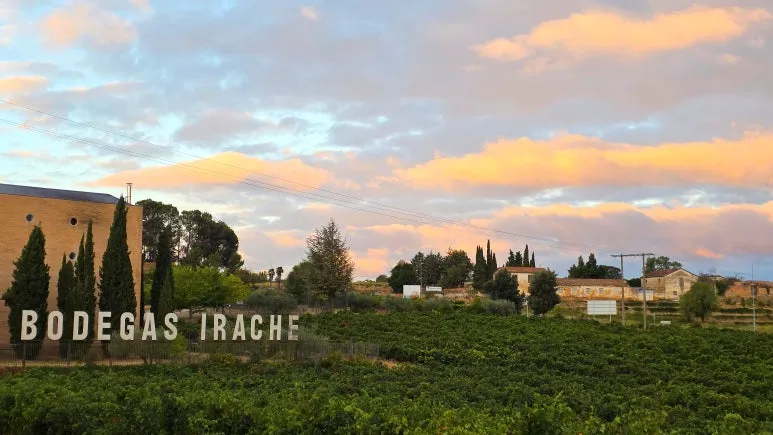 SE-698bbf30-68e4-4ee6-9d0d-e1c5f10ea4cc.jpg?type=w773