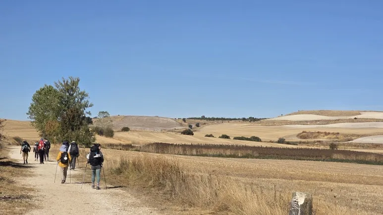 1759416220307.jpg?type=w773