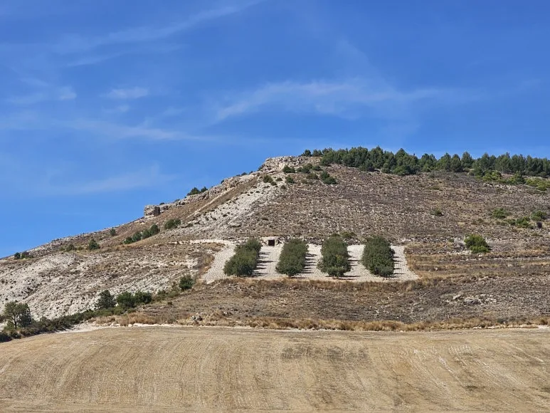 20251001_145906.jpg?type=w773