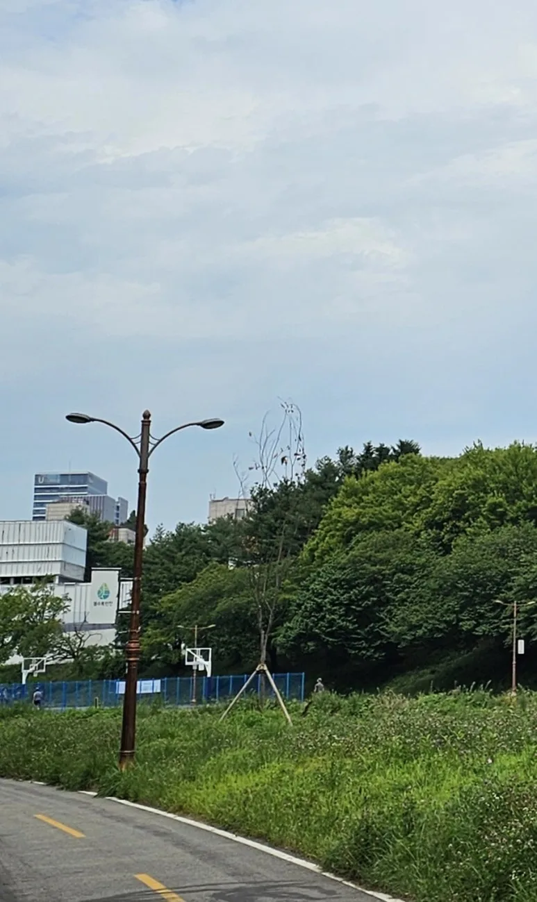 900%EF%BC%BF20250713%EF%BC%BF102553.jpg?type=w773