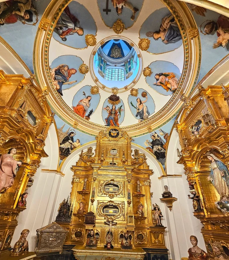 SE-6f66c4ec-0982-4e36-afad-89fa0256ffea.jpg?type=w773