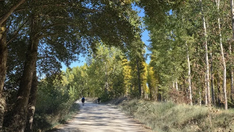 1759463537867.jpg?type=w773