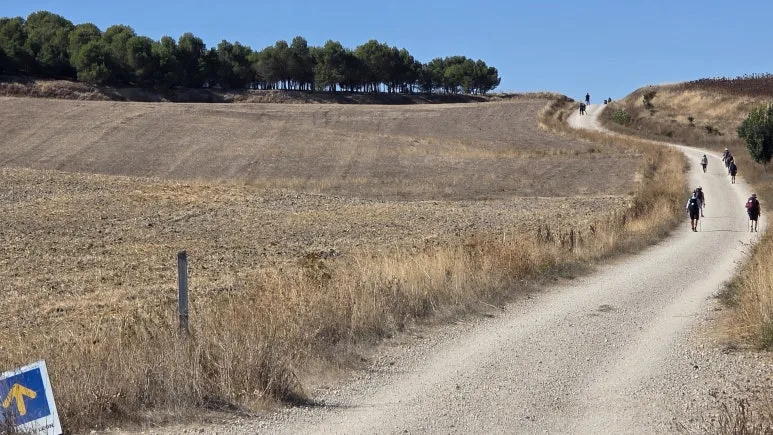 1759463623997.jpg?type=w773