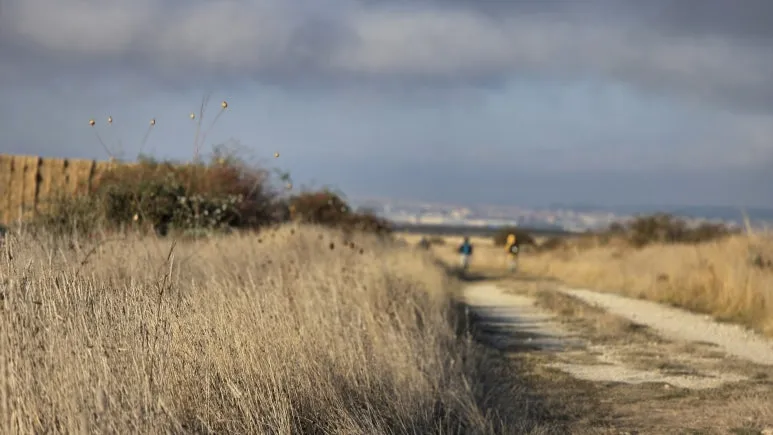 1759256823264.jpg?type=w773