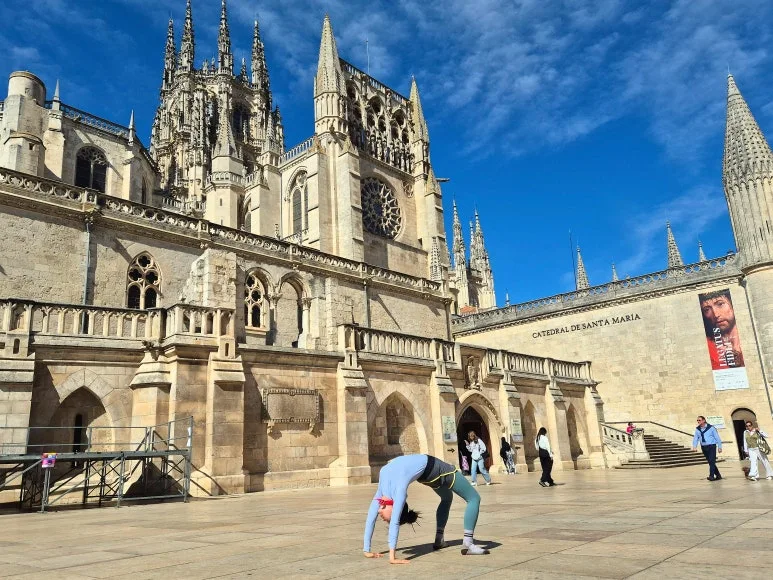 SE-34a2619d-ab0e-4fdc-a24a-c2e126657a1a.jpg?type=w773