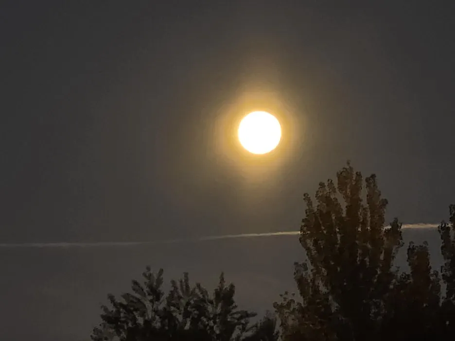 1759858685138.jpg?type=w1