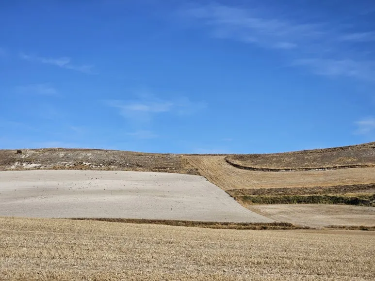 20251001_113503.jpg?type=w773