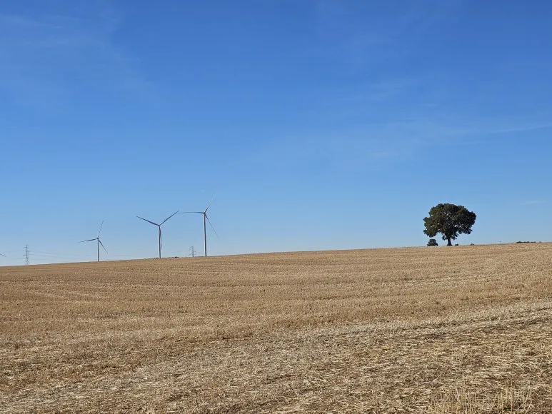 20251001_120757.jpg?type=w773