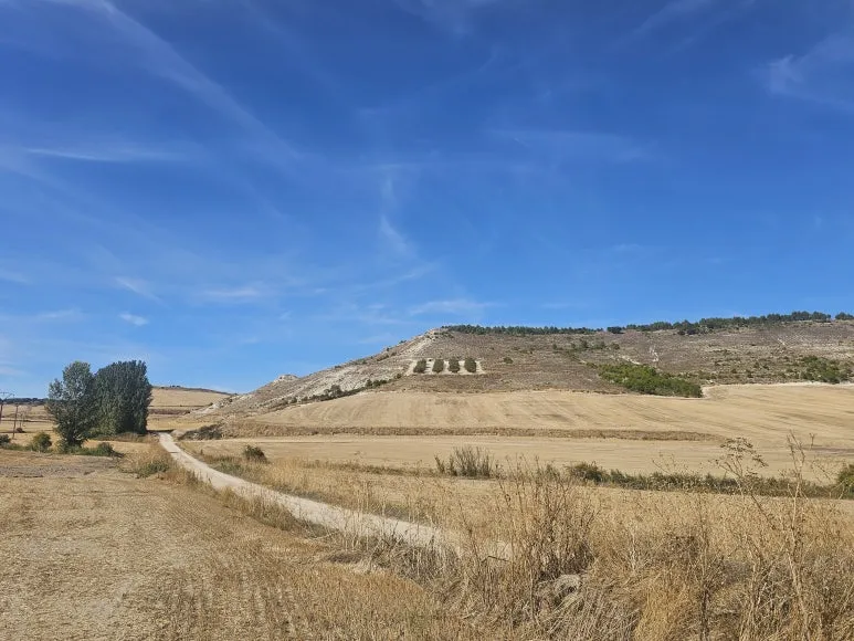 20251001_145900.jpg?type=w773