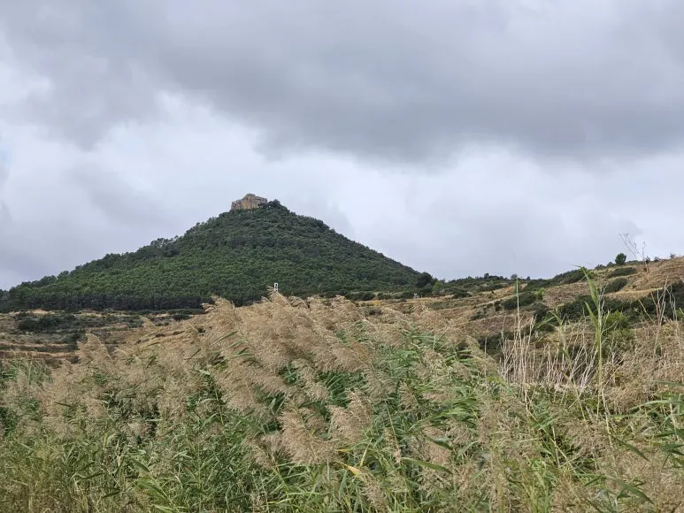 20250924_122957.jpg?type=w773