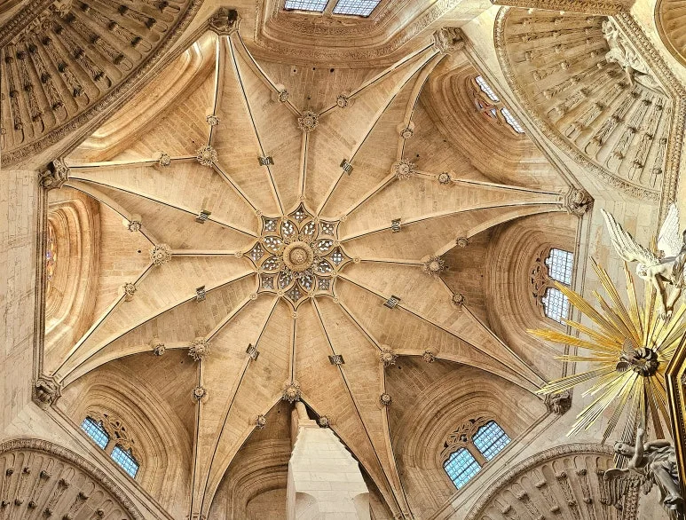 SE-d4012472-3296-4904-a202-1503ed132d1b.jpg?type=w773