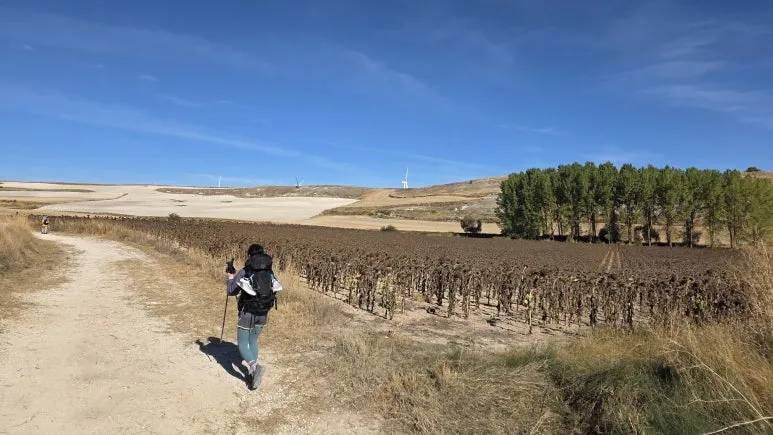 1759416286589.jpg?type=w773