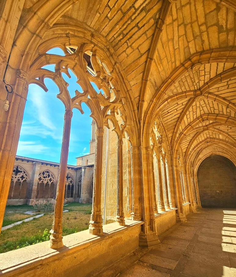 SE-95f2526e-28b9-48a0-aaad-db50bc2022a9.jpg?type=w773