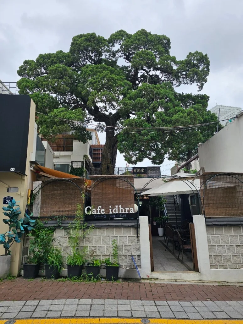 20240720%EF%BC%BF134631.jpg?type=w773