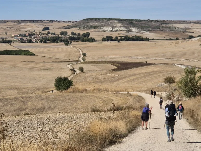 1759416074386.jpg?type=w773