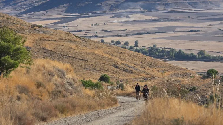 1759472970054.jpg?type=w773