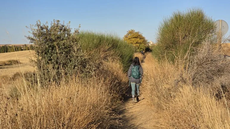 1759721589136.jpg?type=w773