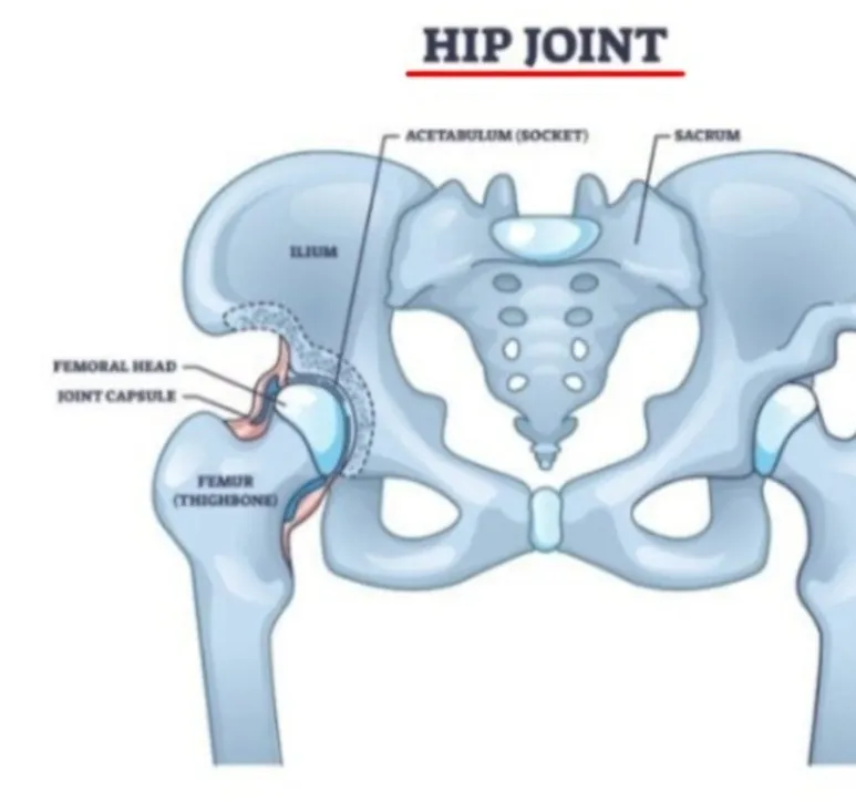 Screenshot%EF%BC%BF20250220%EF%BC%BF211140%EF%BC%BFNAVER.jpg?type=w773