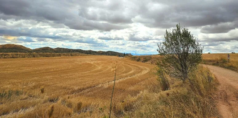 SE-d9274cac-b245-4fbb-afe2-9efd4b667b19.jpg?type=w773