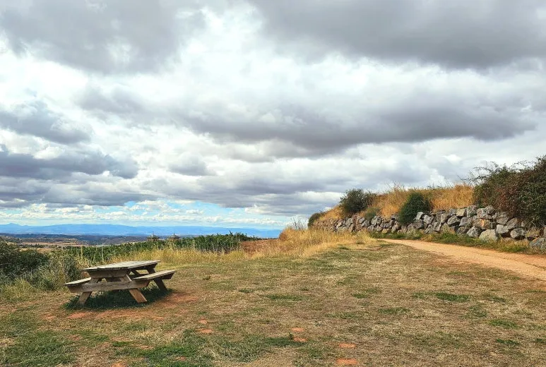 SE-444b0ad4-7e58-4cb5-81a9-4461b36bec0f.jpg?type=w773